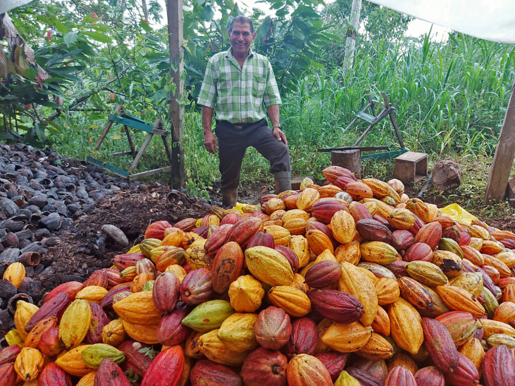 Fotografía de productor de cacao beneficiado por proyecto de CEDECO