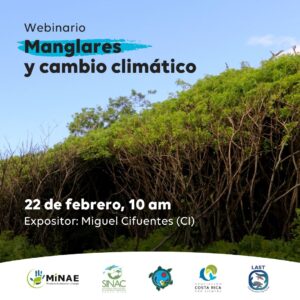 Webinar manglares y cambio climático